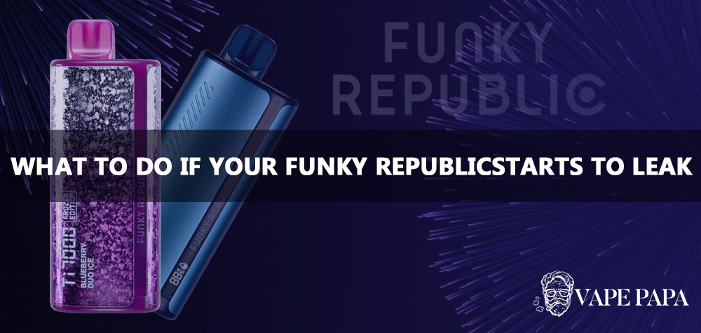 What To Do If Your Funky Republic Ti7000 Starts To Leak