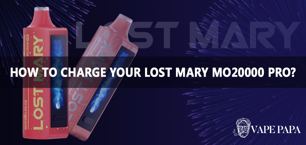 How to Charge Your Lost Mary MO20000