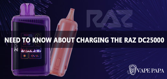 All You Need to Know About Charging the RAZ DC25000