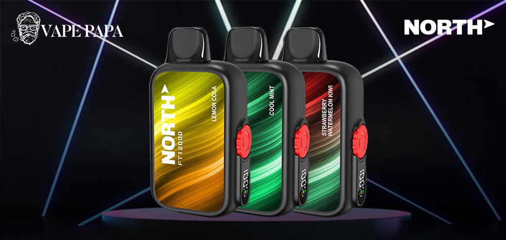 Exploring the Exquisite Flavors of North FT12000 Vape