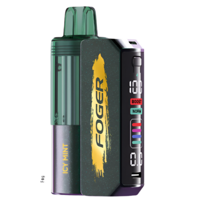 FOGER Switch Pro Kit 30K Vape Icy Mint