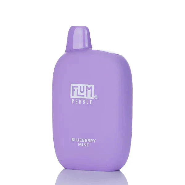 Flum Pebble Blueberry Mint Flavor - Disposable Vape