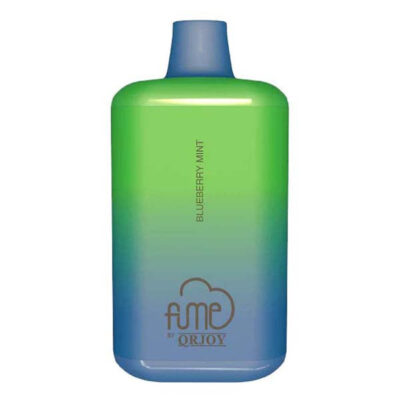 Fume Recharge Blueberry Mint