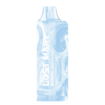 lost-mary-mo5000-Blackcurrant-Mint-flavor-disposable-vape-36.png Lost Mary MO5000 Blackcurrant Mint