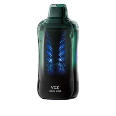 Cool Mint Lost Mary VIZ 55K Disposable Vape